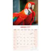 image Macaws 2027 Wall Calendar Second Alternate Image