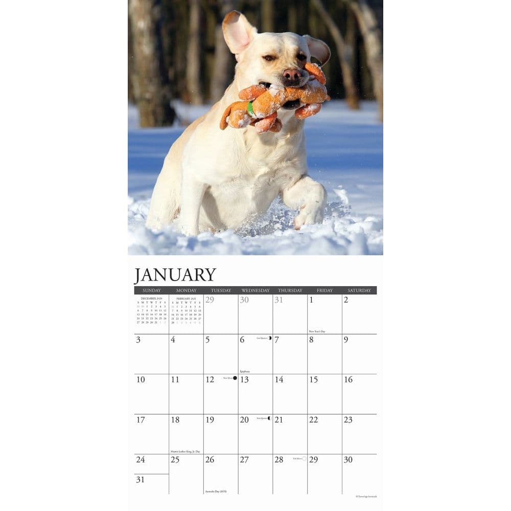 Just Calendar