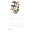 image Mushrooms Viazmensky 2026 Wall Calendar Fourth Alternate Image