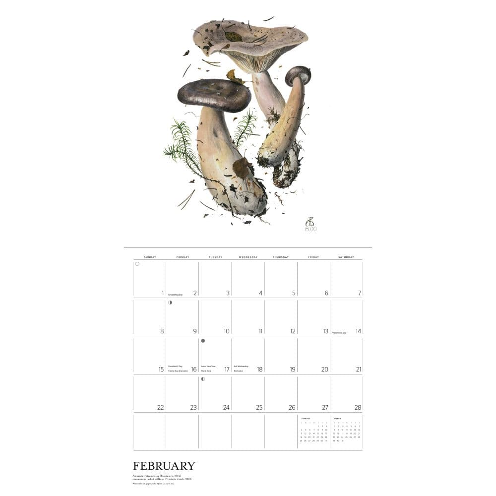 Mushrooms Viazmensky 2026 Wall Calendar Fourth Alternate Image