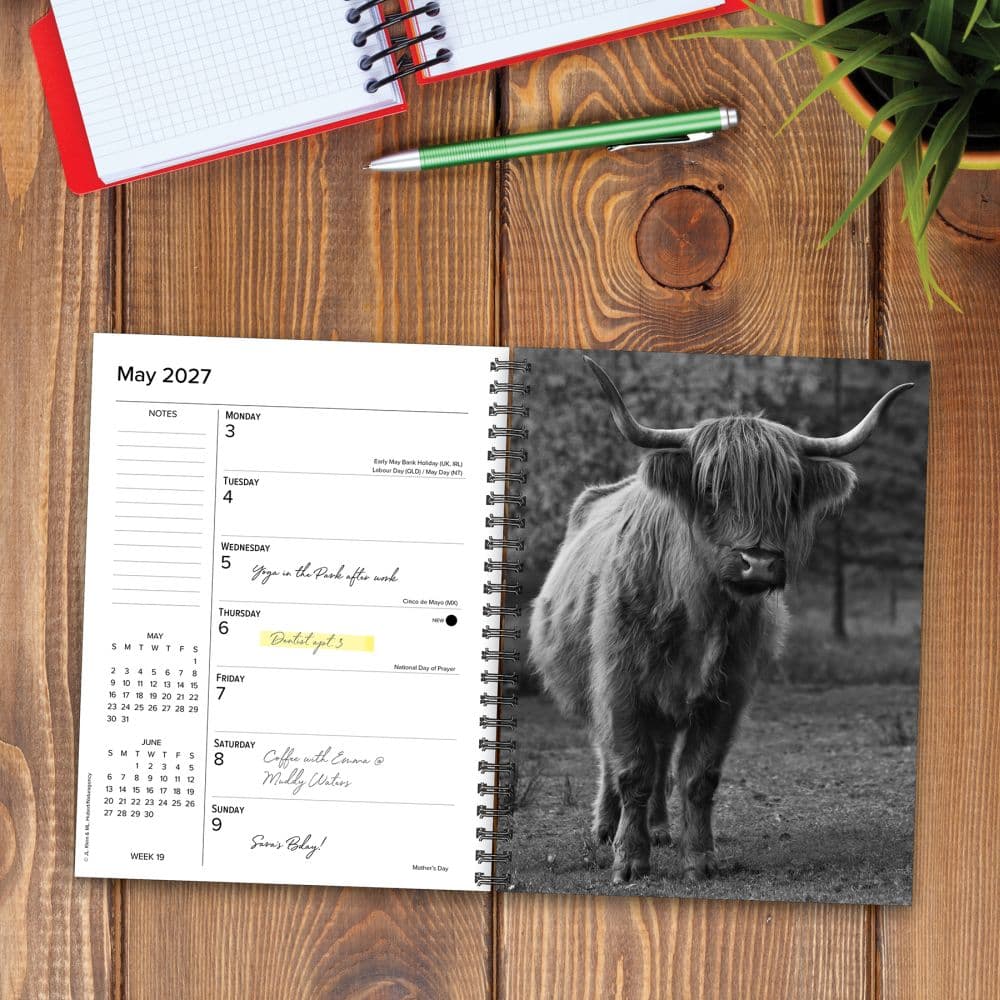 Highland Cows 2027 Planner Second Alternate Image