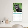 image American Staffordshire Bull Terriers 2025 Wall Calendar Third Alternate Image width=&quot;1000&quot; height=&quot;1000&quot;