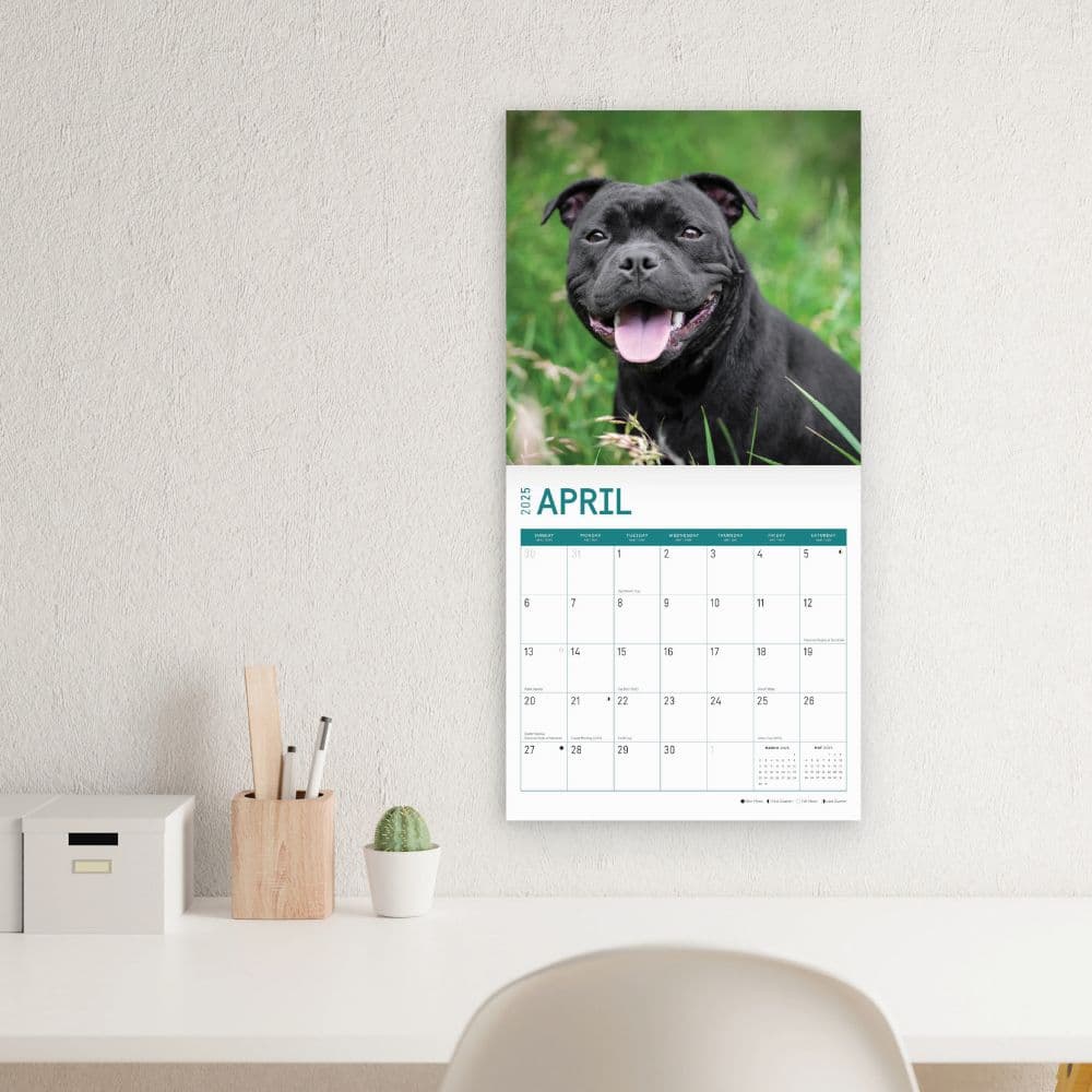 American Staffordshire Bull Terriers 2025 Wall Calendar Third Alternate Image width="1000" height="1000"