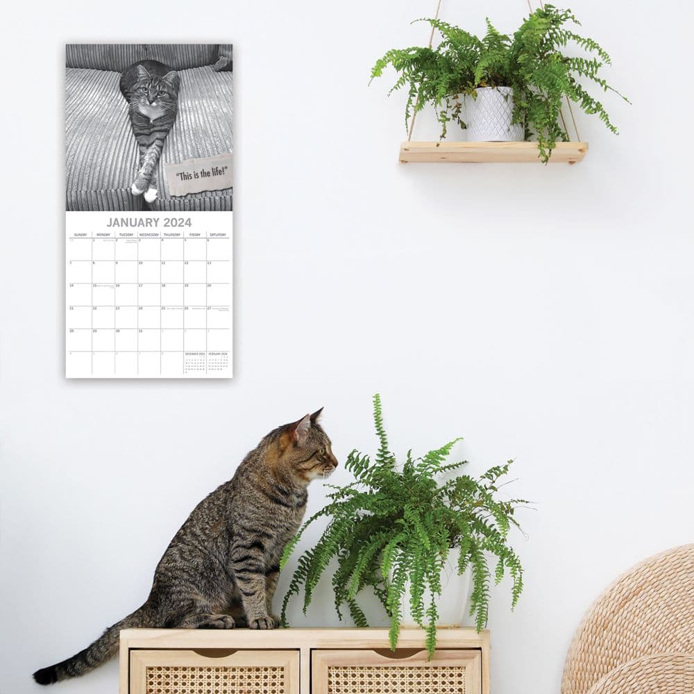 Moggies 2024 Wall Calendar Fourth Alternate Image width=&quot;1000&quot; height=&quot;1000&quot;