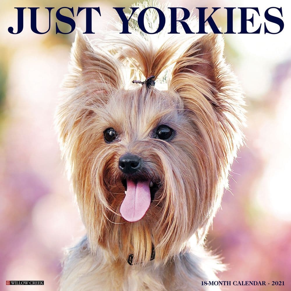 Just Yorkies Wall Calendar