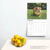 image Bulldogs Deluxe 2025 Wall Calendar on a wall