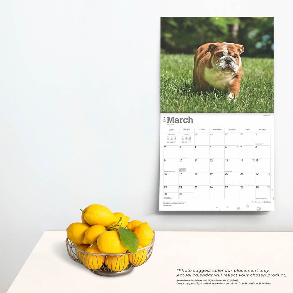 Bulldogs Deluxe 2025 Wall Calendar on a wall