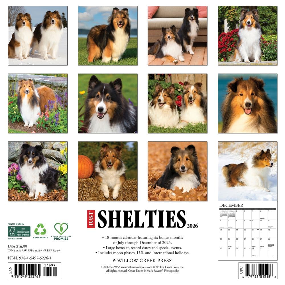 Just Shelties 2026 Wall Calendar First Alternate Image