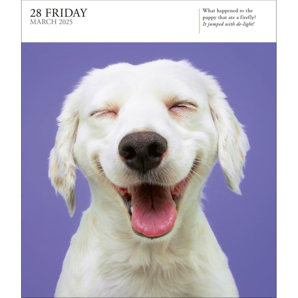 Dog Gallery 2025 Desk Calendar Third Alternate Image width=&quot;1000&quot; height=&quot;1000&quot;