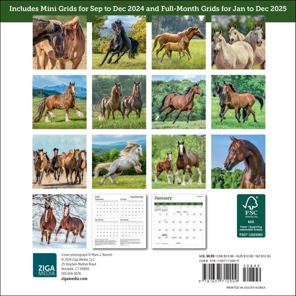 Horses 2025 Mini Wall Calendar First Alternate Image width="1000" height="1000"