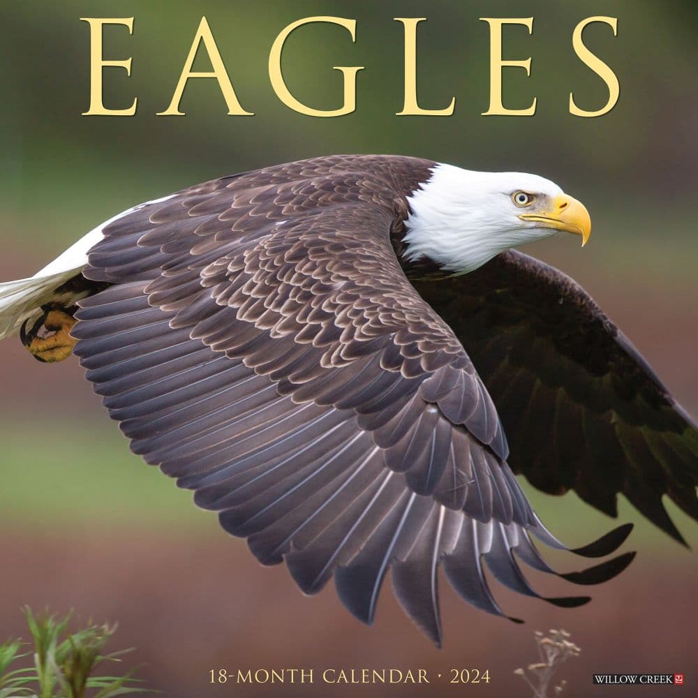 Eagles 2024 Wall Calendar Main Image