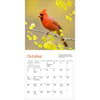 image Audubon Cardinals 2025 Mini Wall Calendar Third Alternate Image width="1000" height="1000"