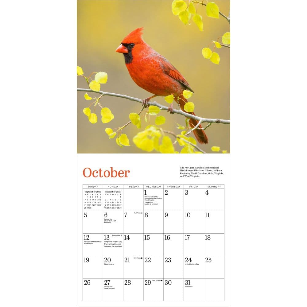 Audubon Cardinals 2025 Mini Wall Calendar Third Alternate Image width="1000" height="1000"