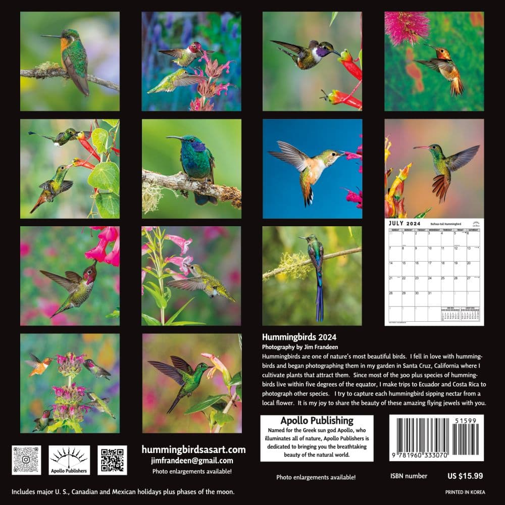 Hummingbirds 2024 Wall Calendar