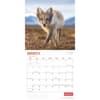 image Wildlife 2025 Wall Calendar interior