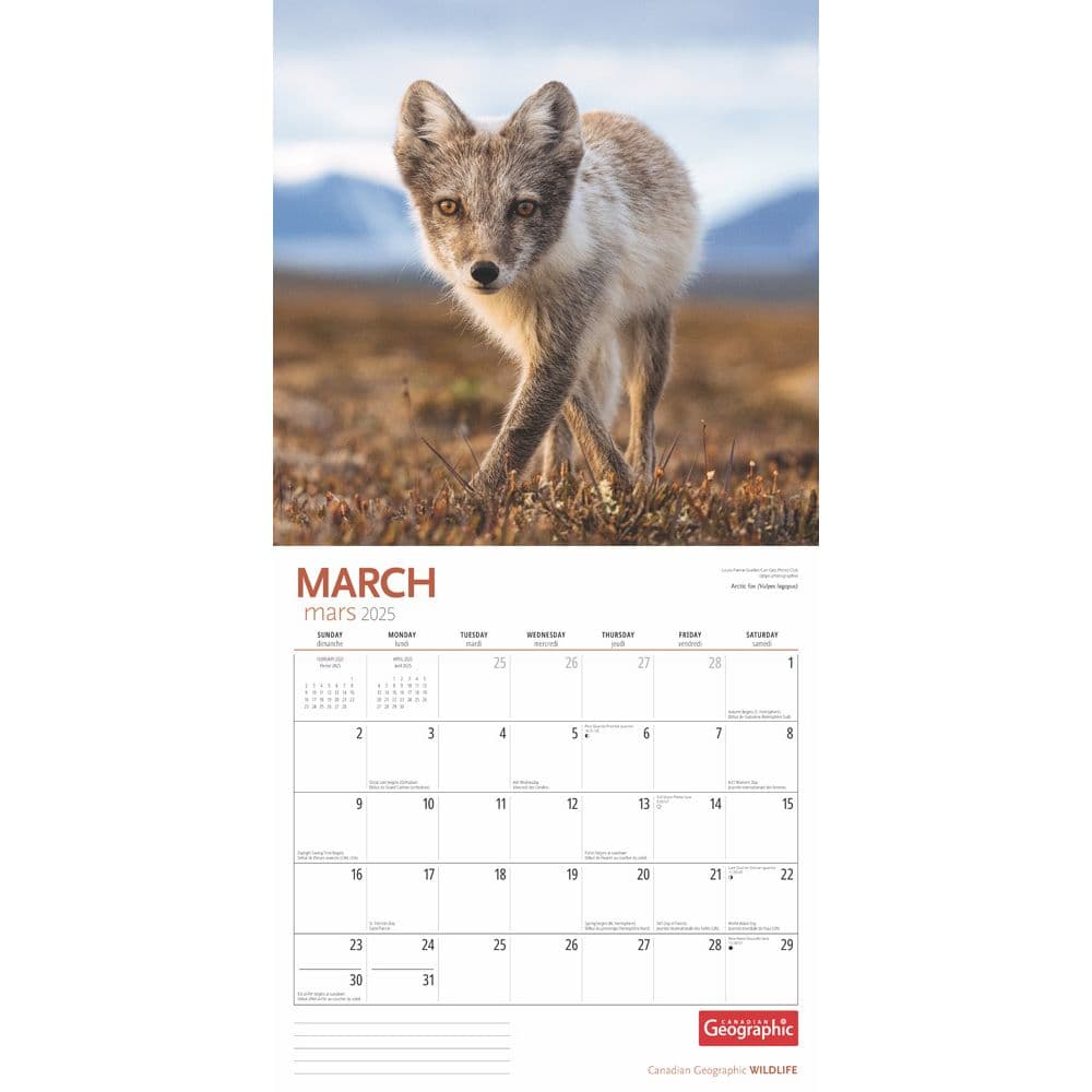 Wildlife 2025 Wall Calendar interior