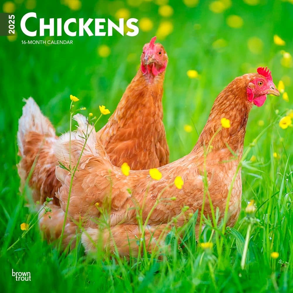 Chickens 2025 Wall Calendar