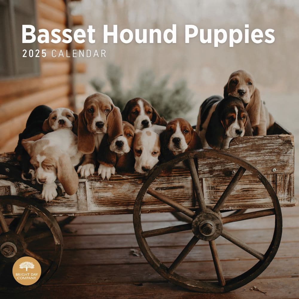 Basset Hound Puppies 2025 Wall Calendar