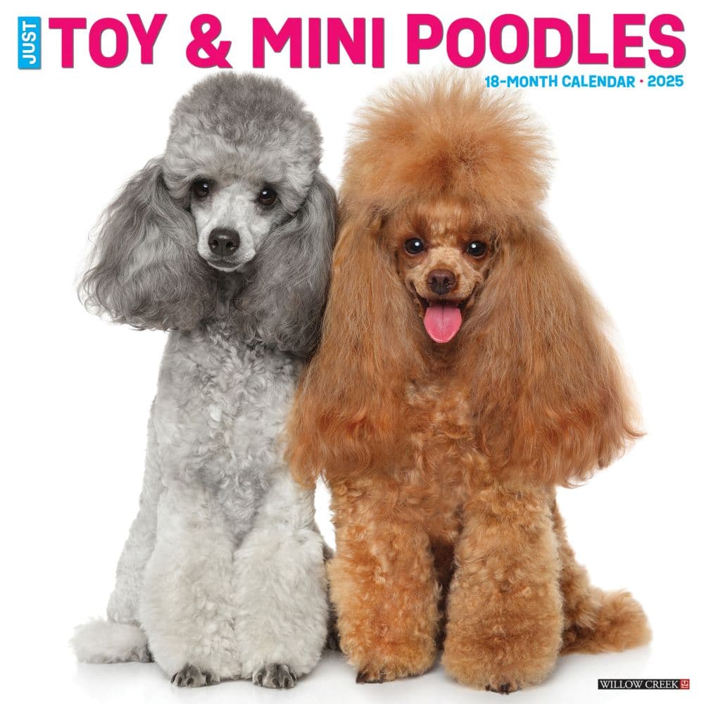 Miniature Toy Poodles 2025 Wall Calendar Main Image