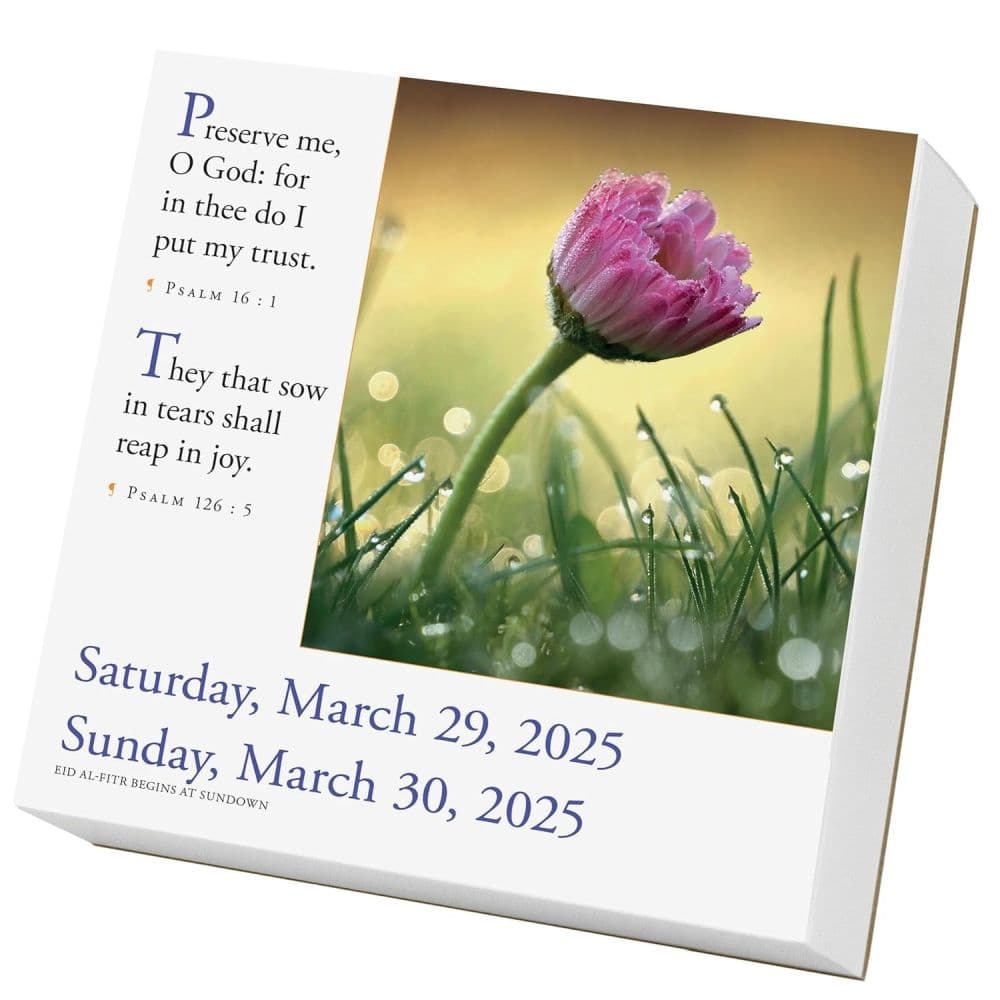 Bible Verses 2025 Page-a-Day Desk Calendar Sixth Alternate Image