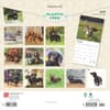 image Dachshunds 2025 Wall Calendar First Alternate Image width=&quot;1000&quot; height=&quot;1000&quot;