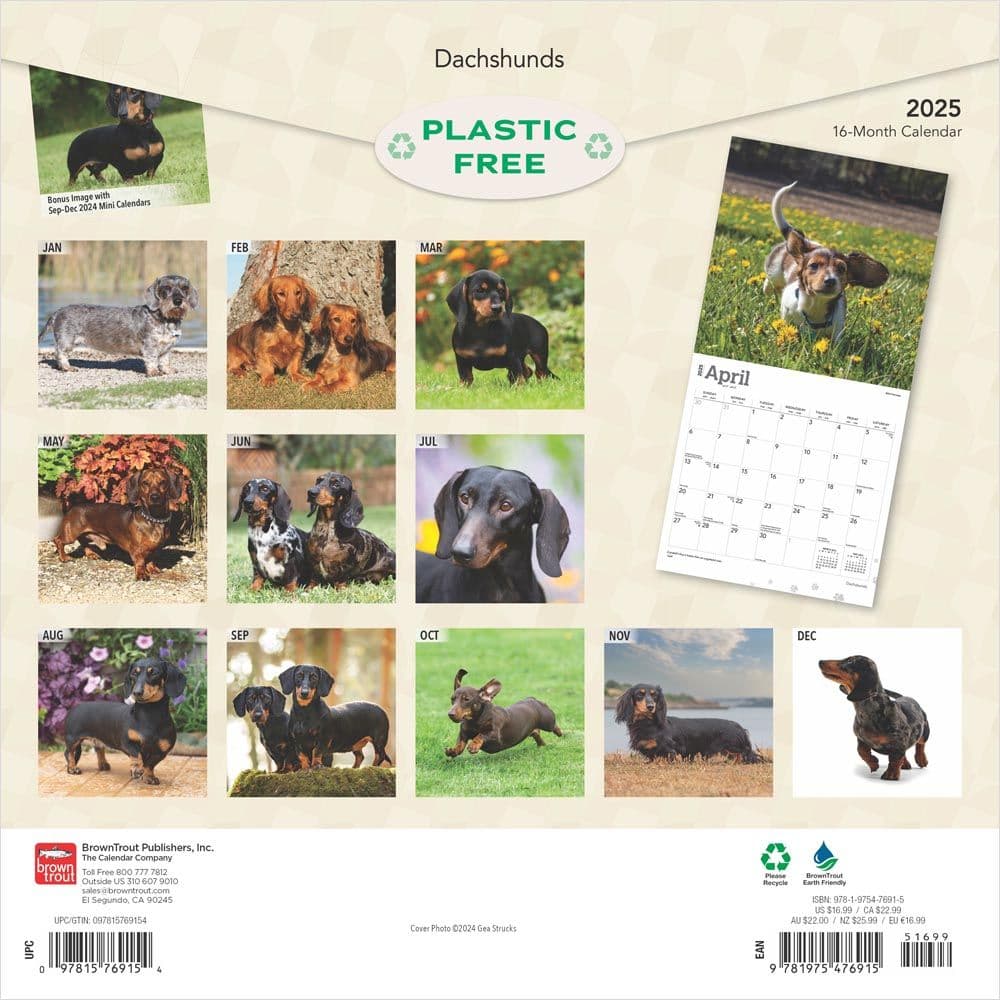 Dachshunds 2025 Wall Calendar First Alternate Image width=&quot;1000&quot; height=&quot;1000&quot;