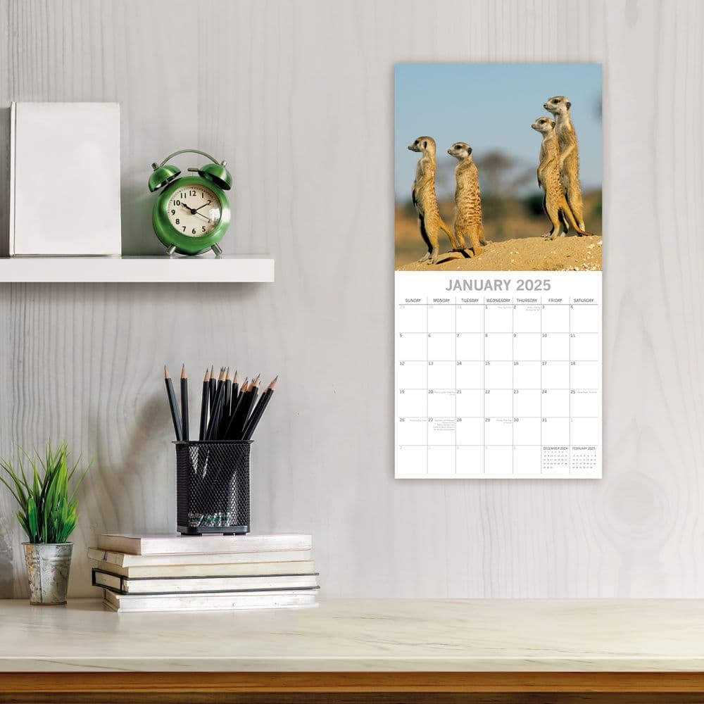 Safari 2025 Wall Calendar Second Alternate Image width=&quot;1000&quot; height=&quot;1000&quot;