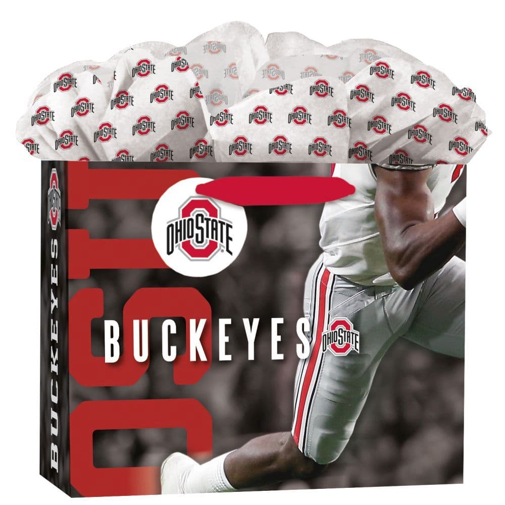 Col Ohio State Buckeyes Med GoGo Gift Bag