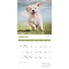 image Playful Puppies 2026 Wall Calendar Second Alternate Image