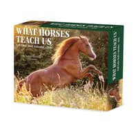 image What Horses Teach Us 2026 Desk Calendar Main Image