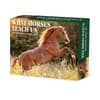 image What Horses Teach Us 2026 Desk Calendar Main Image