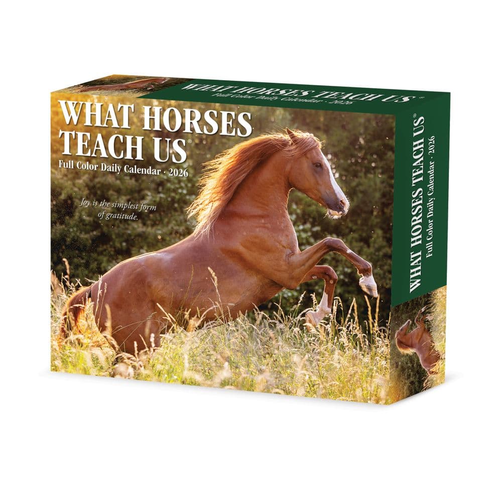 What Horses Teach Us 2026 Desk Calendar Main Image