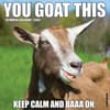 image You Goat This 2026 Wall Calendar Main Image