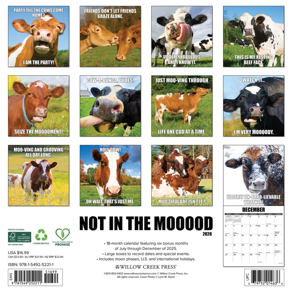 Not In The Mooood 2026 Wall Calendar First Alternate Image