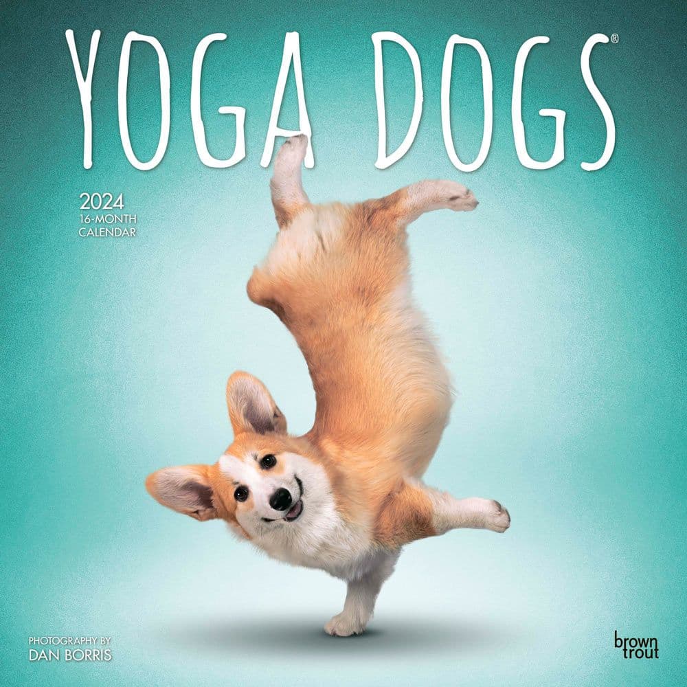 Yoga Dogs 2024 Wall Calendar Main Product Image width=&quot;1000&quot; height=&quot;1000&quot;