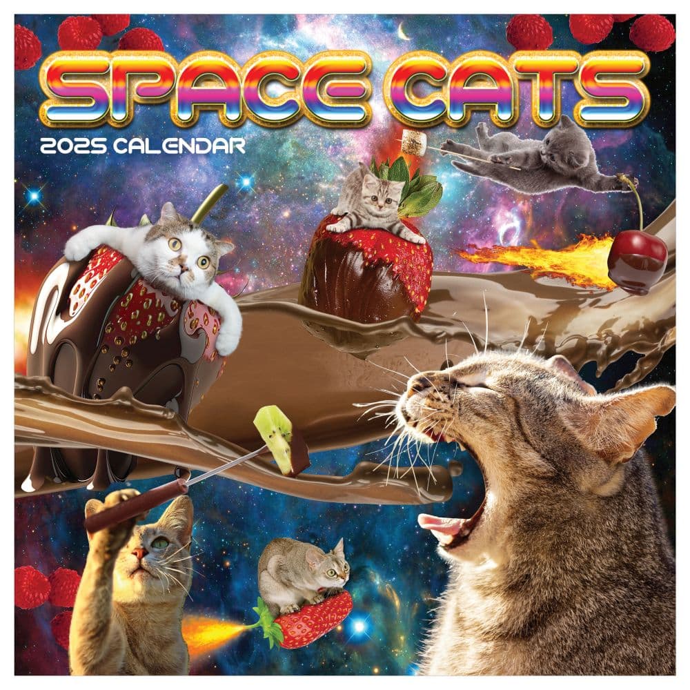 Space Cats 2025 Wall Calendar  Main Image