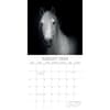 image Horse Portraits 2024 Wall Calendar August