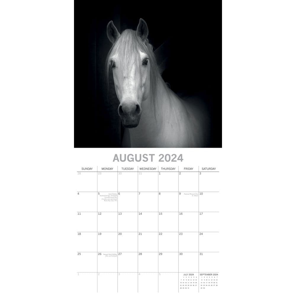 Horse Portraits 2024 Wall Calendar August