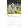 image Baby Goats 2025 Wall Calendar