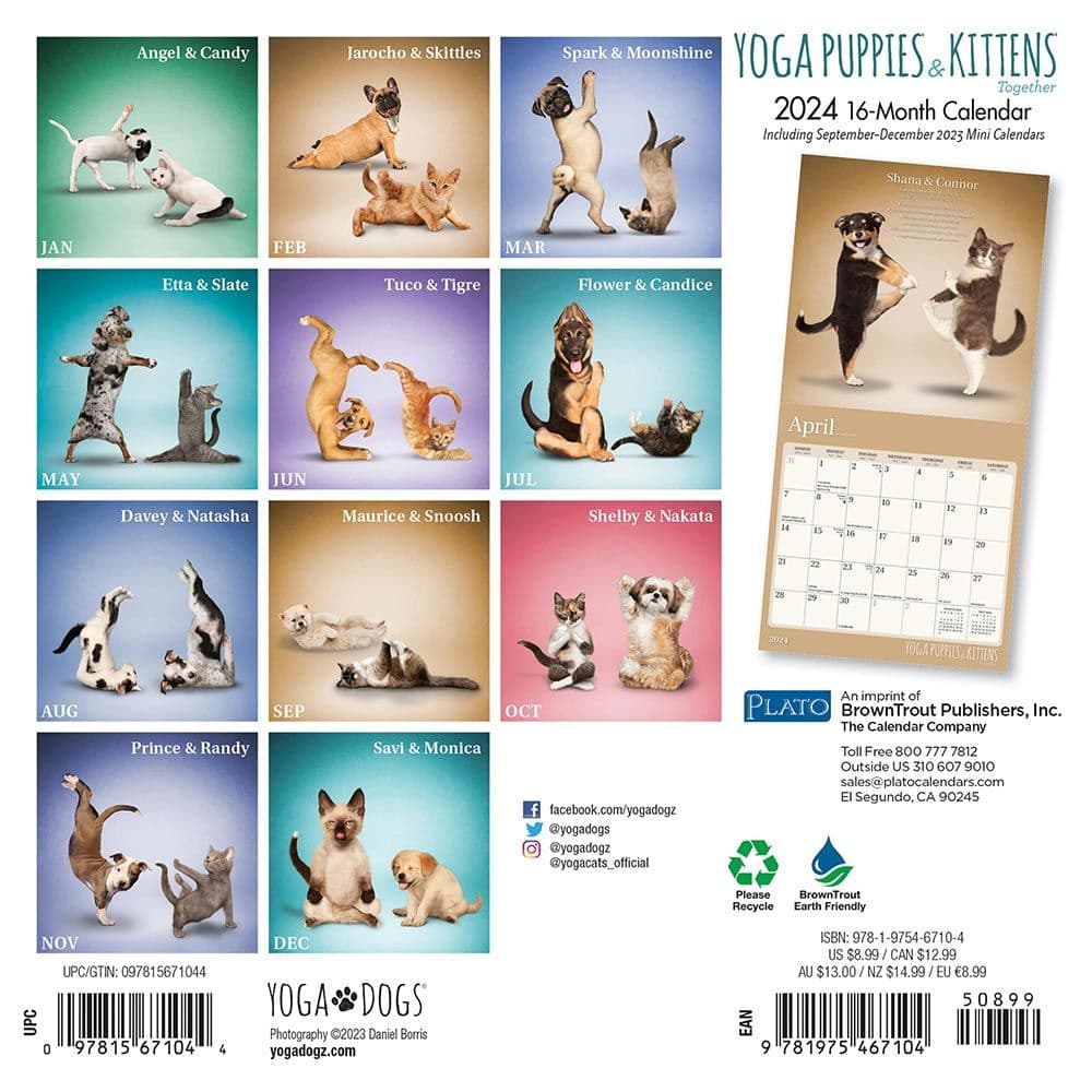 Yoga Puppies &amp; Kittens 2024 Mini Wall Calendar First Alternate Image width=&quot;1000&quot; height=&quot;1000&quot;