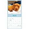 image Sleepy Puppies 2026 Wall Calendar Second Alternate Image