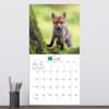 image Baby Animals - Wildlife 2024 Wall Calendar Third Alternate Image width=&quot;1000&quot; height=&quot;1000&quot;