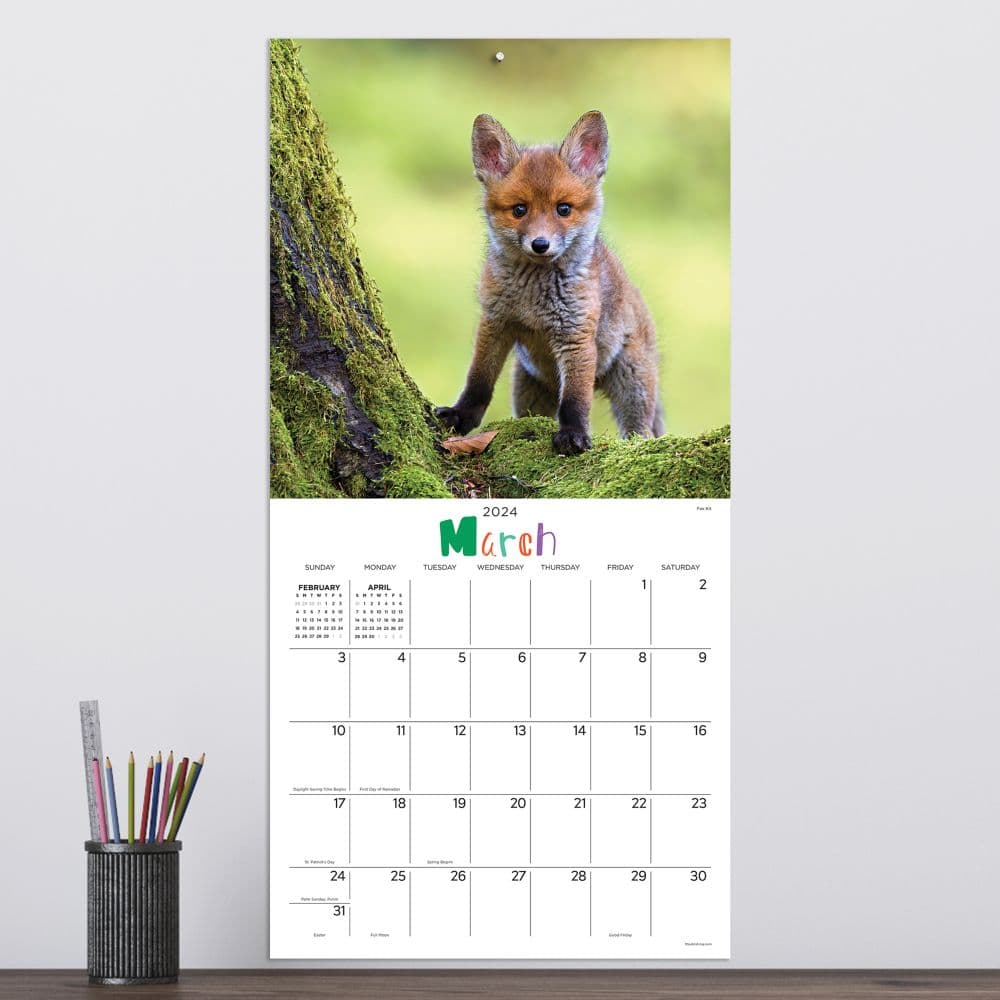 Baby Animals - Wildlife 2024 Wall Calendar Third Alternate Image width=&quot;1000&quot; height=&quot;1000&quot;