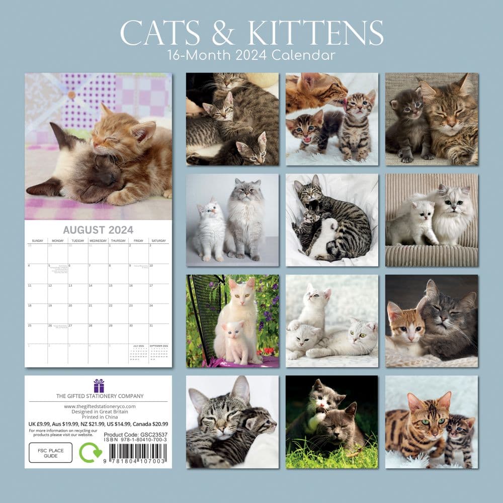 Cats and Kittens 2024 Wall Calendar