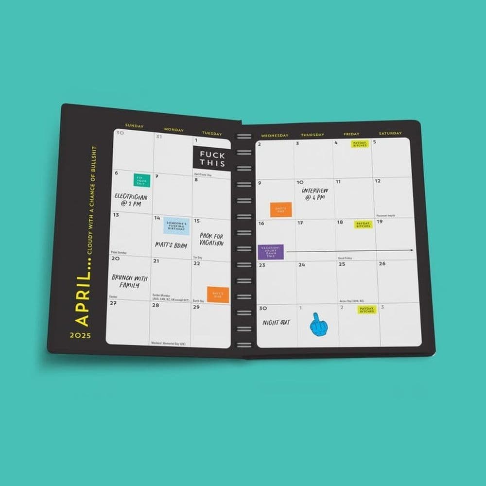 Carpe Fcking Diem 2025 Planner