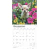 image Chihuahua Puppies 2025 Wall Calendar Third Alternate Image width=&quot;1000&quot; height=&quot;1000&quot;