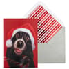 image Dog and Candy Cane Christmas Card Main Product Image width=&quot;1000&quot; height=&quot;1000&quot;