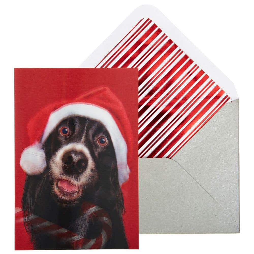 Dog and Candy Cane Christmas Card Main Product Image width=&quot;1000&quot; height=&quot;1000&quot;