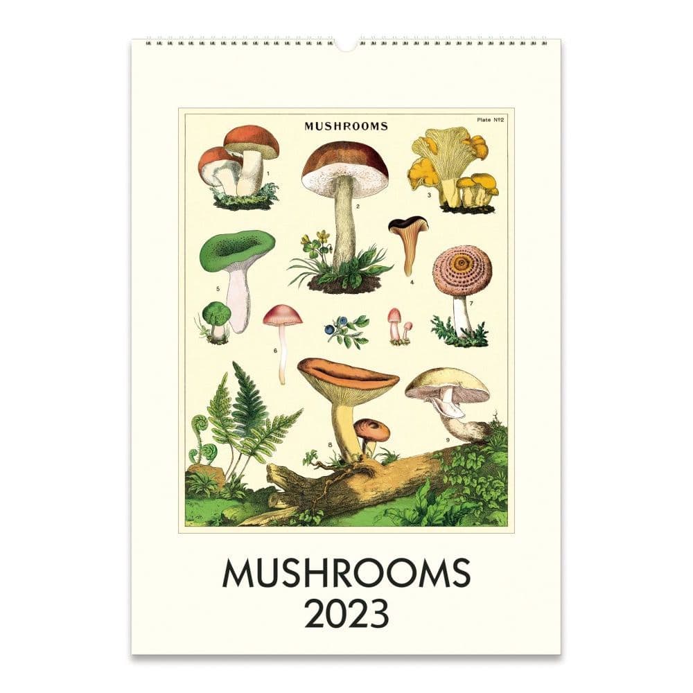 Cavallini Papers & Co. Mushrooms 2023 Poster Wall Calendar