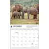 image Elephants WWF 2025 Wall Calendar Second Alternate Image width="1000" height="1000"